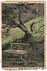 obal19.jpg