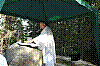 090815hw11.jpg